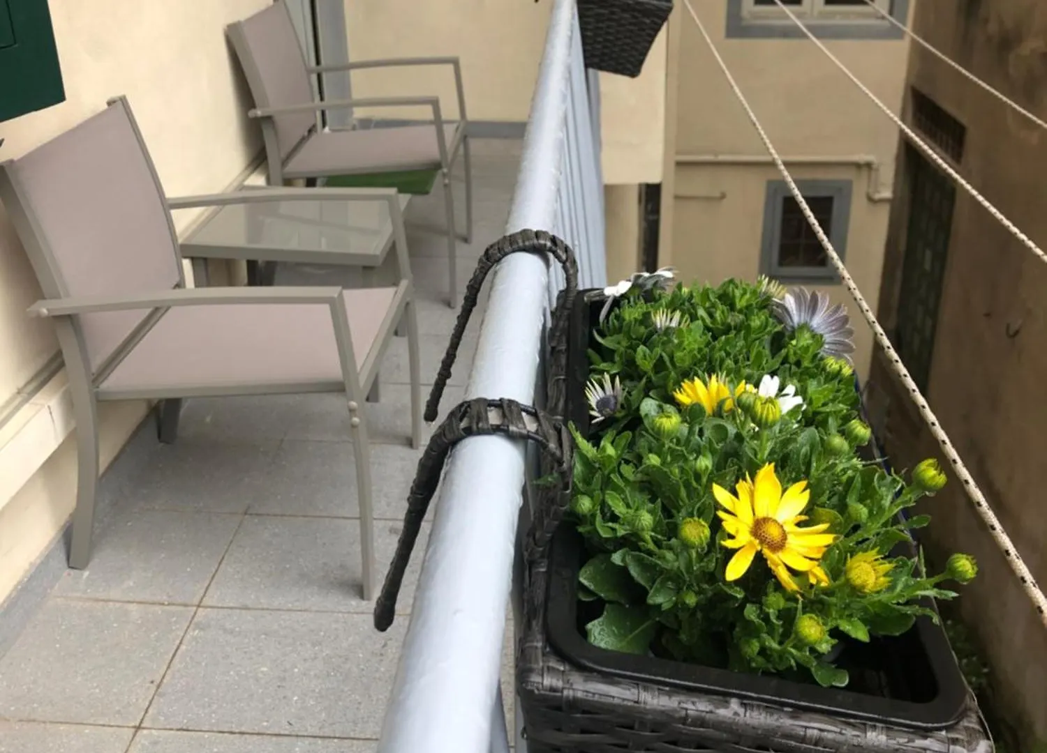 Appartamento Sonnino House Pisa Italia